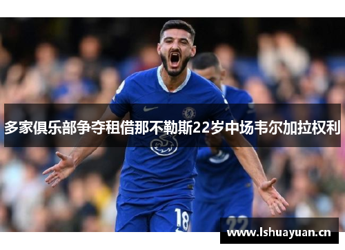 多家俱乐部争夺租借那不勒斯22岁中场韦尔加拉权利 多家俱乐部争夺租借那不勒斯22岁中场韦尔加拉权利